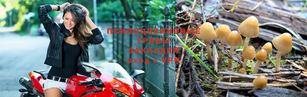 амф Лабытнанги